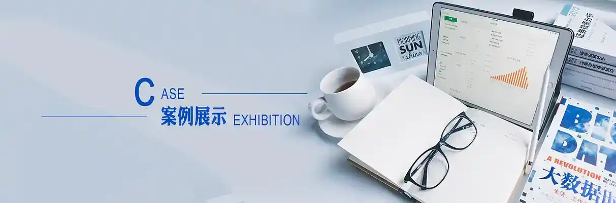 青浦区软件开发